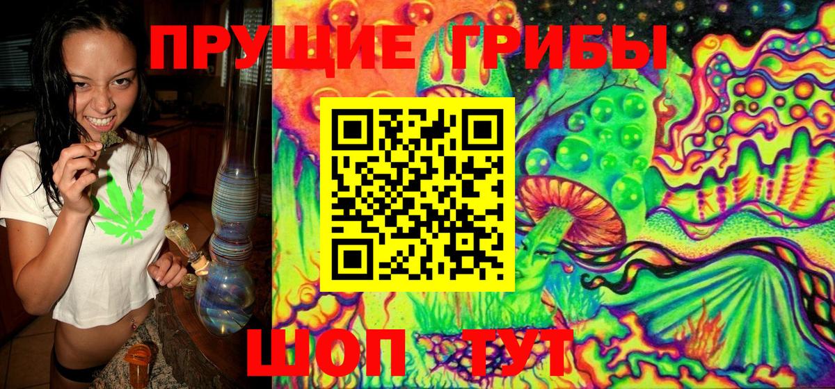 как найти закладки  Псилоцибиновые грибы Psilocybine cubensis  Вход с VPN  Кузнецк 