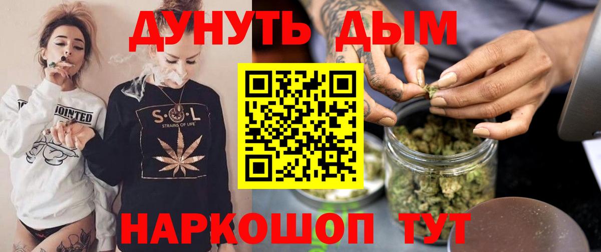Конопля конопля Кузнецк